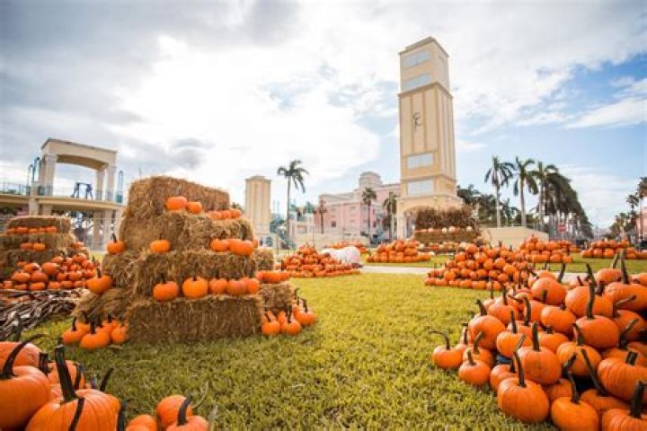 Boynton and Delray Beach Fall Fun & Halloween Guide | Macaroni KID Boynton Beach