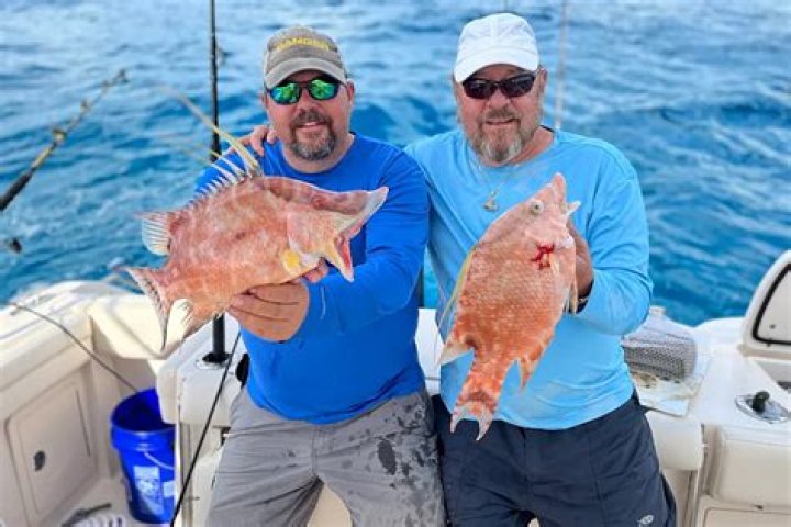 
Duo Deploy Boat to Rescue 29 People in Hard-Hit Fort Myers After Hurricane Ian: ‘It Is a War Zone’ 