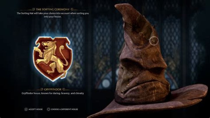 How To Get The Sorting Hat Filter On TikTok?