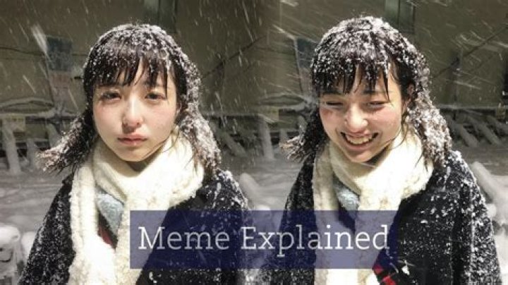 ‘Oh Husbant We Are Homeress’ Meme Explained, Meet Japanese Artist Mogusa Shirose