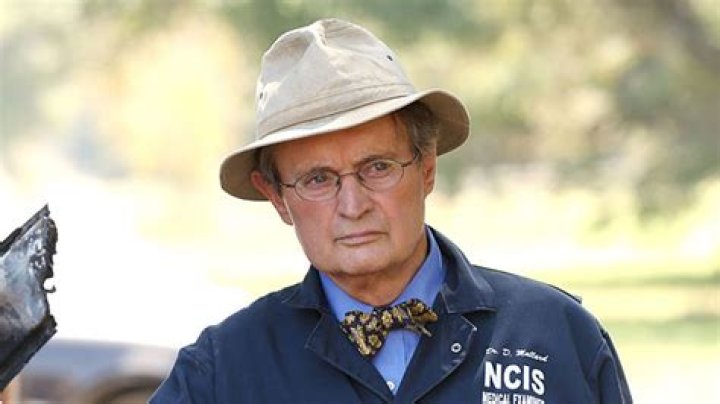Ross Mccallum Age, Birthday, Wikipedia, Who, Nationality, Biography